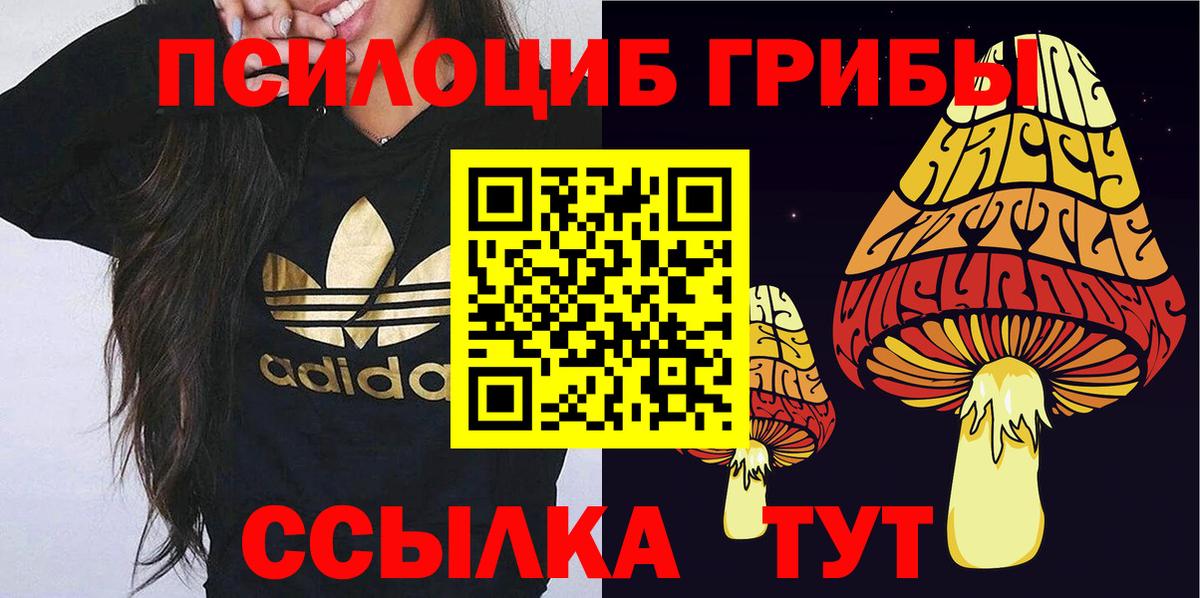 Галлюциногенные грибы GOLDEN TEACHER Кизляр