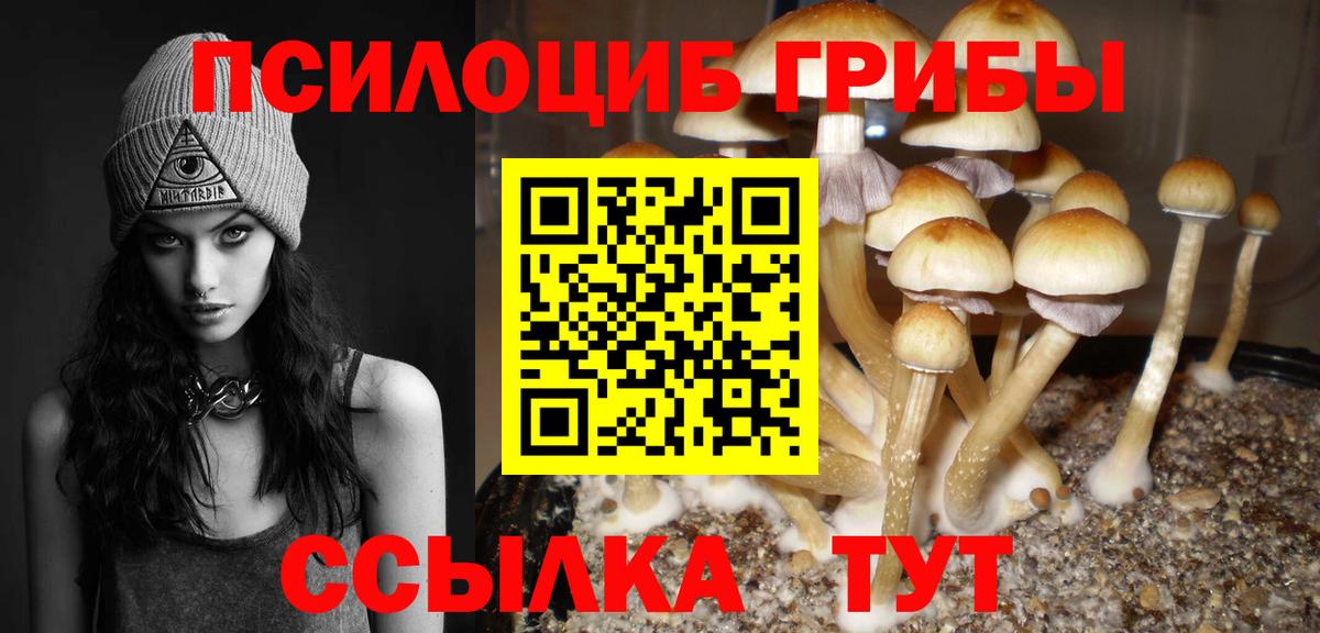Псилоцибиновые грибы мухоморы  как найти закладки  Кизляр  Вход с VPN  Галлюциногенные грибы Magic Shrooms 